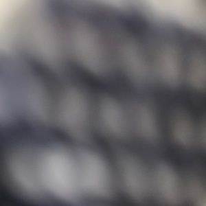 Meet your Posher, Abigail